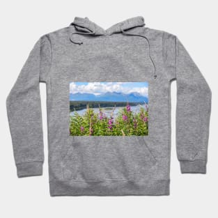 USA. Alaska. Denali National Park. Fireweeds. Hoodie